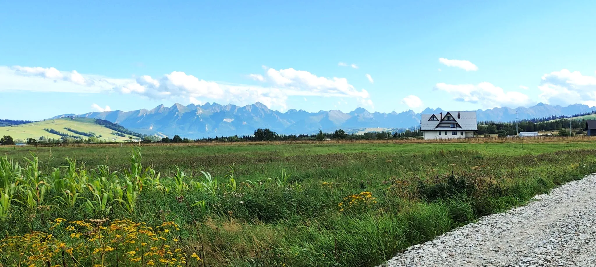 Działki z pięknym widokiem na Tatry, na granicy miejscowości Groń i Białka Tatrzańska - zdjęcie 5