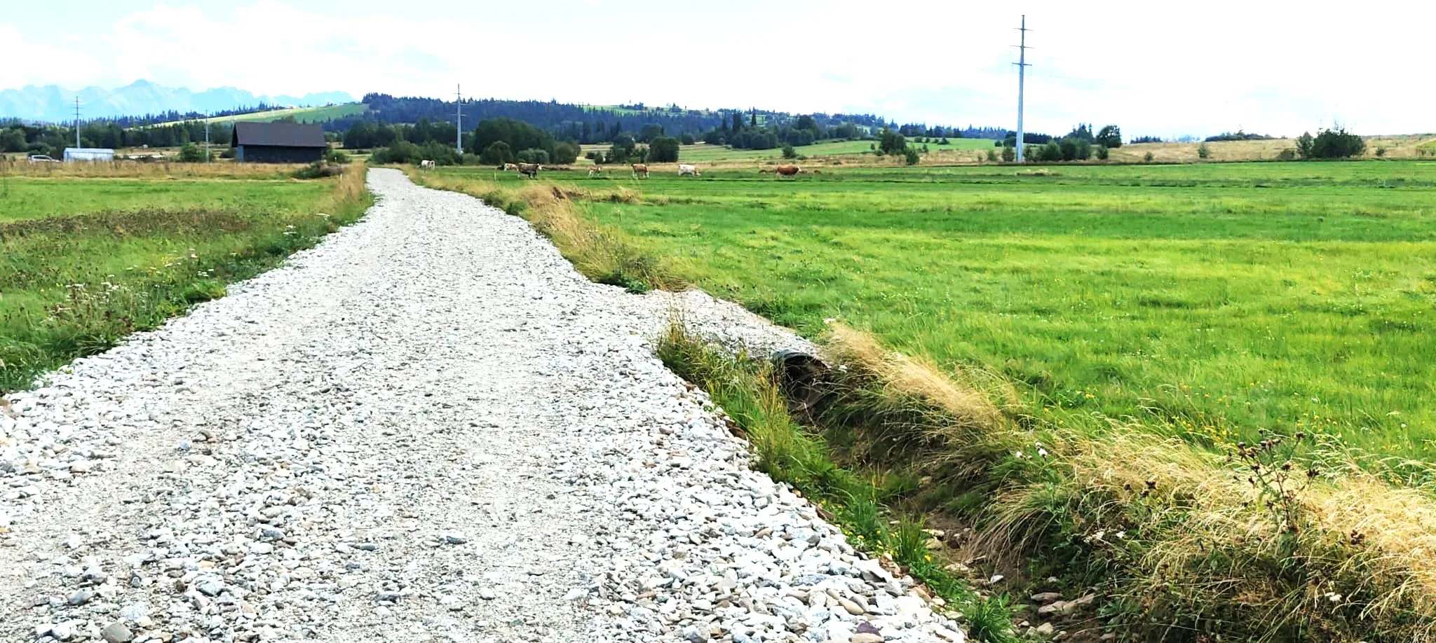 Działki z pięknym widokiem na Tatry, na granicy miejscowości Groń i Białka Tatrzańska - zdjęcie 10