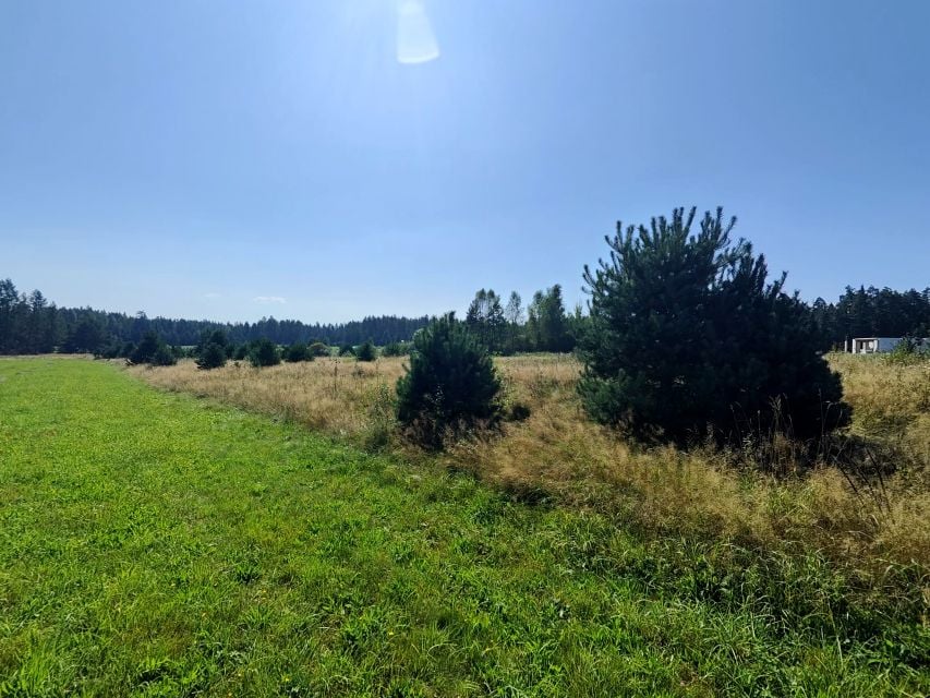 Działka w Harklowej, woj.małopolskie - zdjęcie 7