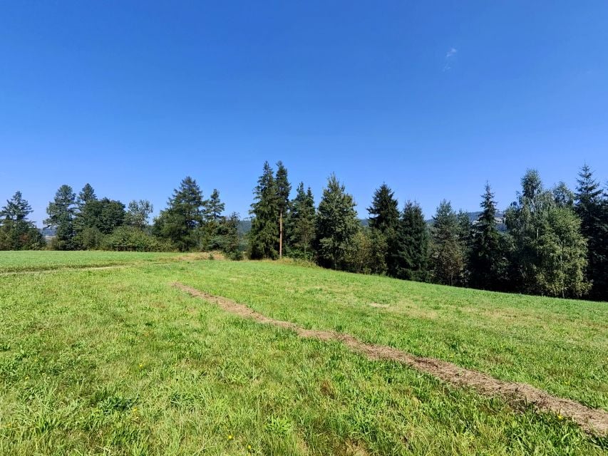 Działka w Harklowej, woj.małopolskie - zdjęcie 5