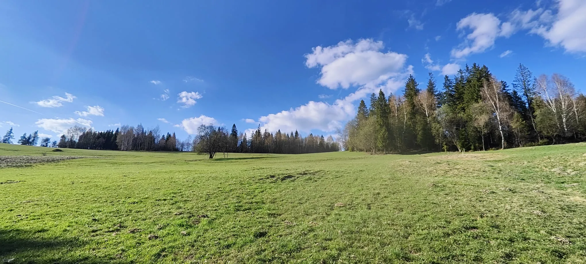 Wyjątkowa działka 1,4 ha w Obidowej – las, łąka i duży potencjał - zdjęcie 6