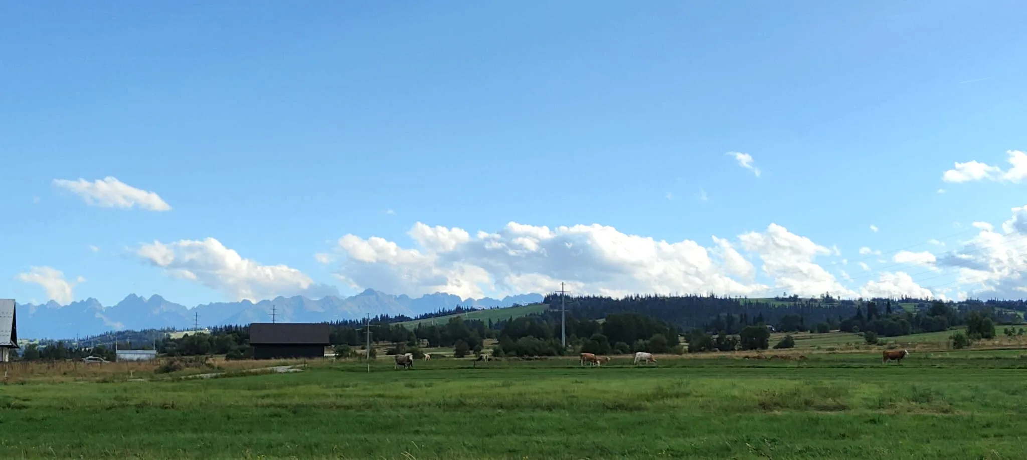 Działki z pięknym widokiem na Tatry, na granicy miejscowości Groń i Białka Tatrzańska - zdjęcie 7